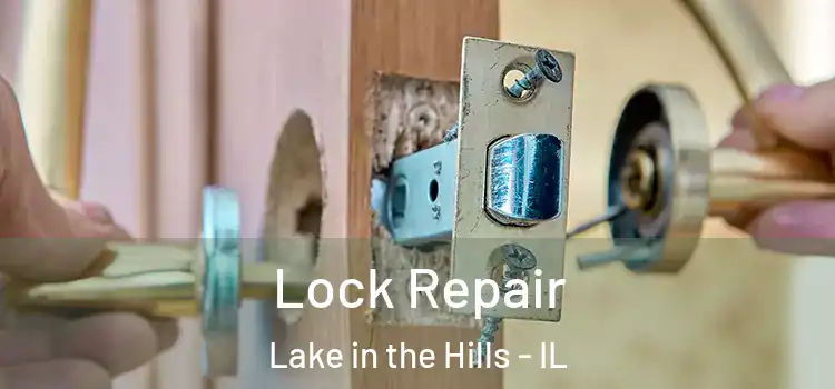 Lock Repair Lake in the Hills - IL