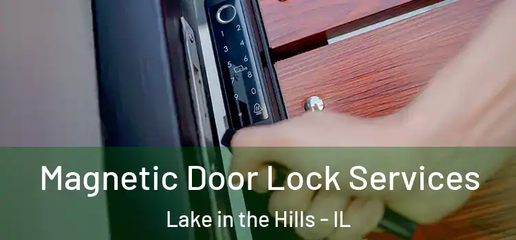 Magnetic Door Lock Services Lake in the Hills - IL