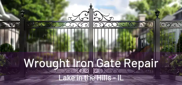 Wrought Iron Gate Repair Lake in the Hills - IL